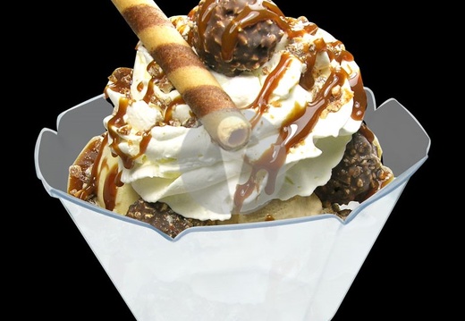 rocher to go3